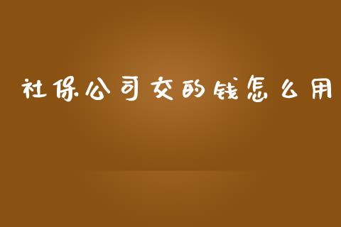 社保公司交的钱怎么用_https://cj001.lansai.wang_保险问答_第1张