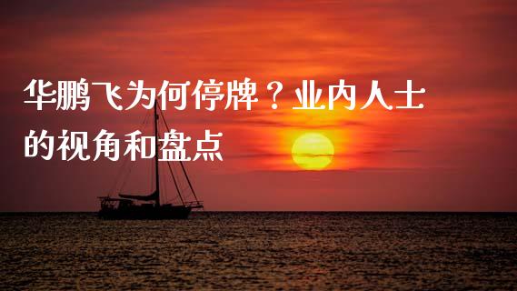 华鹏飞为何停牌？业内人士的视角和盘点_https://cj001.lansai.wang_保险问答_第1张