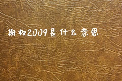 期权2009是什么意思_https://cj001.lansai.wang_期货问答_第1张