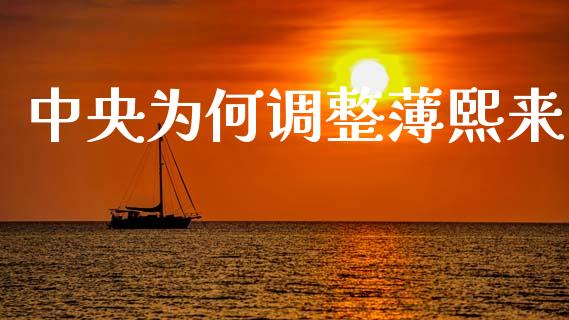 中央为何调整薄熙来_https://cj001.lansai.wang_期货问答_第1张