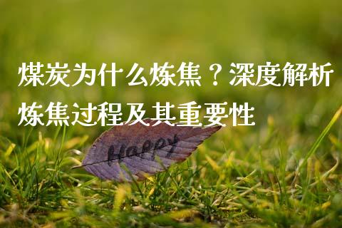煤炭为什么炼焦？深度解析炼焦过程及其重要性_https://cj001.lansai.wang_保险问答_第1张