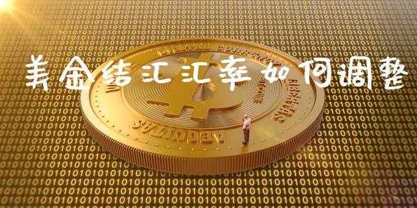 美金结汇汇率如何调整_https://cj001.lansai.wang_股市问答_第1张