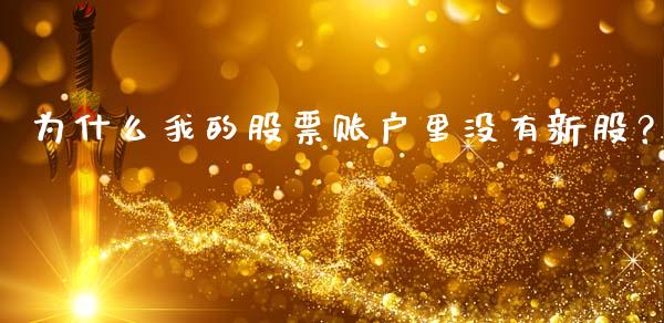 为什么我的股票账户里没有新股？_https://cj001.lansai.wang_财经问答_第1张