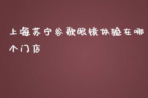 上海苏宁谷歌眼镜体验在哪个门店_https://cj001.lansai.wang_财经百问_第1张