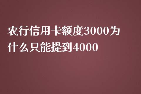 农行信用卡额度3000为什么只能提到4000_https://cj001.lansai.wang_理财问答_第1张