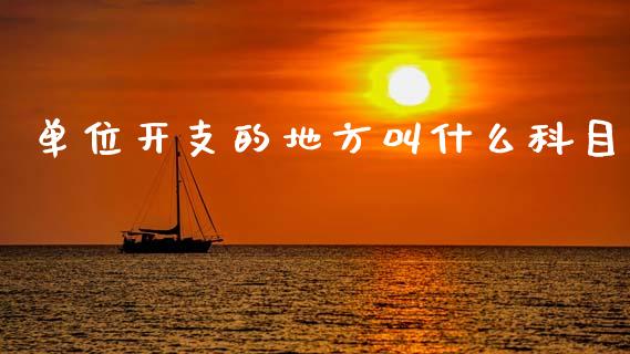 单位开支的地方叫什么科目_https://cj001.lansai.wang_会计问答_第1张