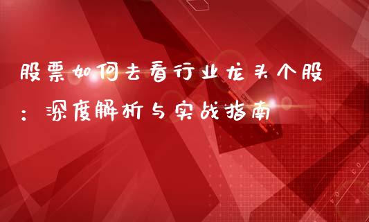 股票如何去看行业龙头个股：深度解析与实战指南_https://cj001.lansai.wang_财经百问_第1张
