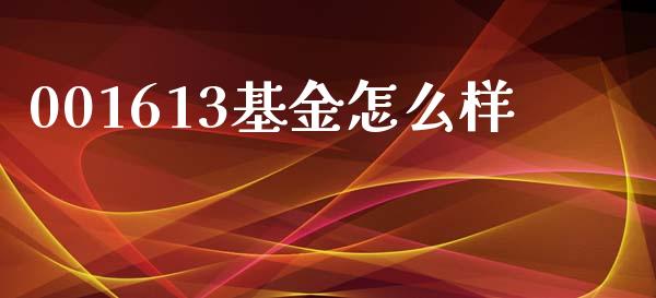 001613基金怎么样_https://cj001.lansai.wang_金融问答_第1张
