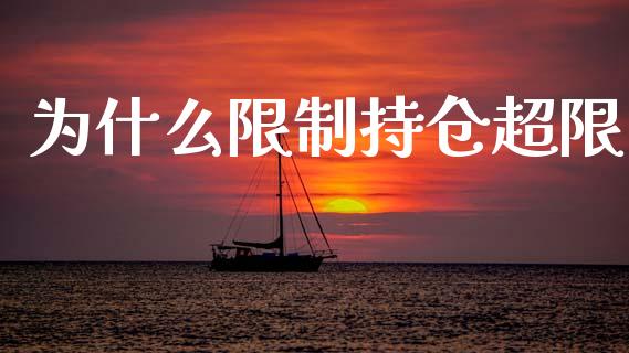 为什么限制持仓超限_https://cj001.lansai.wang_期货问答_第1张