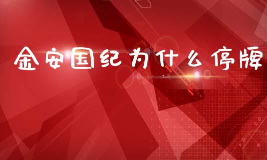 金安国纪为什么停牌_https://cj001.lansai.wang_期货问答_第1张
