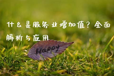 什么是服务业增加值？全面解析与应用_https://cj001.lansai.wang_会计问答_第1张