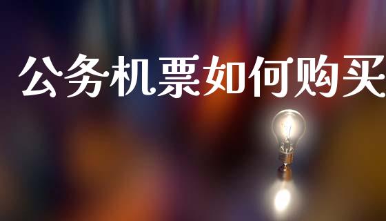 公务机票如何购买_https://cj001.lansai.wang_期货问答_第1张