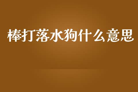 棒打落水狗什么意思_https://cj001.lansai.wang_财经百问_第1张