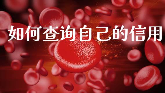 如何查询自己的信用_https://cj001.lansai.wang_期货问答_第1张