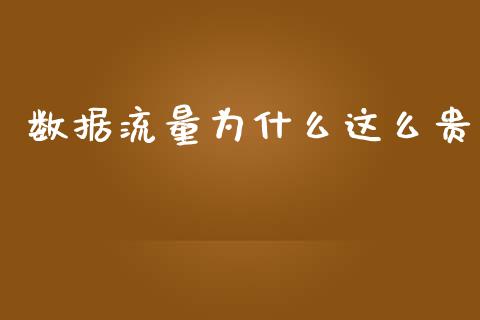 数据流量为什么这么贵_https://cj001.lansai.wang_期货问答_第1张