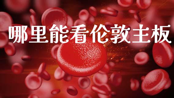 哪里能看伦敦主板_https://cj001.lansai.wang_会计问答_第1张