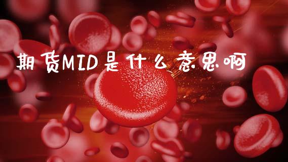 期货MID是什么意思啊_https://cj001.lansai.wang_期货问答_第1张