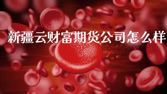 新疆云财富期货公司怎么样_https://cj001.lansai.wang_金融问答_第1张