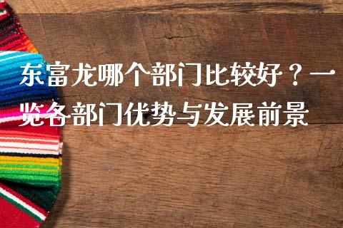 东富龙哪个部门比较好？一览各部门优势与发展前景_https://cj001.lansai.wang_财经百问_第1张