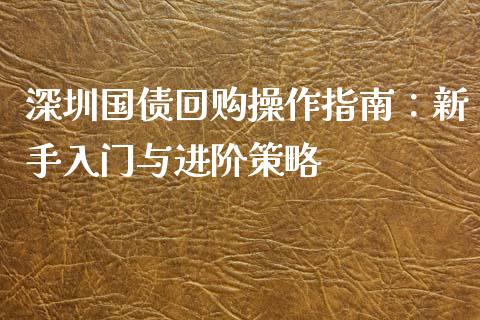 深圳国债回购操作指南：新手入门与进阶策略_https://cj001.lansai.wang_股市问答_第1张