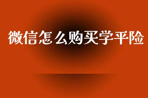 微信怎么购买学平险_https://cj001.lansai.wang_保险问答_第1张