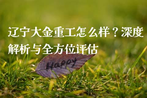 辽宁大金重工怎么样？深度解析与全方位评估_https://cj001.lansai.wang_财经问答_第1张