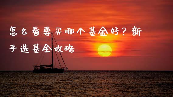 怎么看要买哪个基金好？新手选基全攻略_https://cj001.lansai.wang_理财问答_第1张