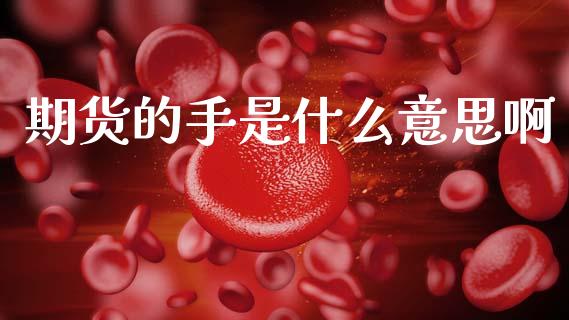 期货的手是什么意思啊_https://cj001.lansai.wang_股市问答_第1张