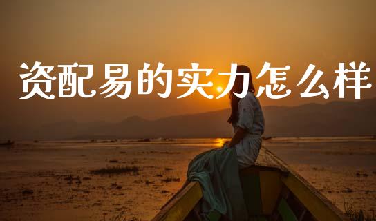 资配易的实力怎么样_https://cj001.lansai.wang_股市问答_第1张
