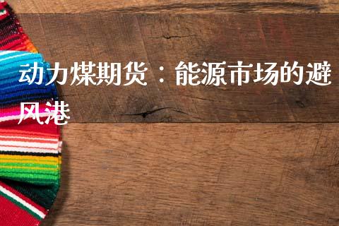 动力煤期货：能源市场的避风港_https://cj001.lansai.wang_财经问答_第1张
