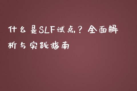 什么是SLF试点?全面解析与实践指南_财经问答_第1张_财经百问网 什么是SLF试点?全面解析与实践指南_https://cj001.lansai.wang_财经问答_第1张
