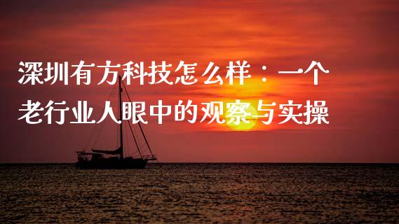 深圳有方科技怎么样：一个老行业人眼中的观察与实操_https://cj001.lansai.wang_理财问答_第1张