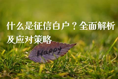 什么是征信白户?全面解析及应对策略_理财问答_第1张_财经百问网 什么是征信白户?全面解析及应对策略_https://cj001.lansai.wang_理财问答_第1张