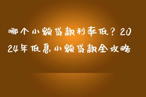 哪个小额贷款利率低？2024年低息小额贷款全攻略_https://cj001.lansai.wang_会计问答_第1张