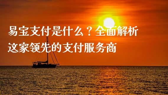 易宝支付是什么？全面解析这家领先的支付服务商_https://cj001.lansai.wang_理财问答_第1张