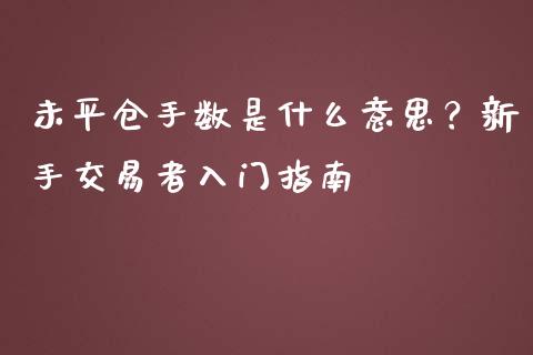 未平仓手数是什么意思？新手交易者入门指南_https://cj001.lansai.wang_金融问答_第1张