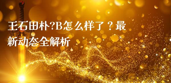 王石田朴?B怎么样了？最新动态全解析_https://cj001.lansai.wang_股市问答_第1张