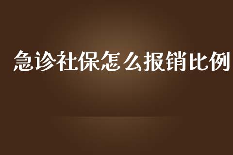 急诊社保怎么报销比例_https://cj001.lansai.wang_保险问答_第1张