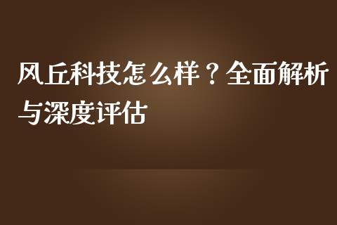 风丘科技怎么样？全面解析与深度评估_https://cj001.lansai.wang_理财问答_第1张