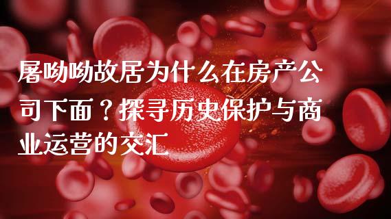 屠呦呦故居为什么在房产公司下面？探寻历史保护与商业运营的交汇_https://cj001.lansai.wang_理财问答_第1张