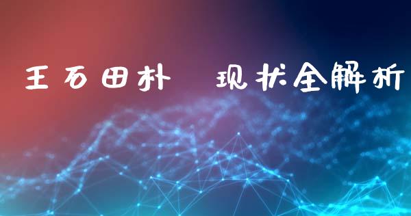 王石田朴珺现状全解析_https://cj001.lansai.wang_金融问答_第1张