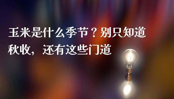 玉米是什么季节？别只知道秋收，还有这些门道_https://cj001.lansai.wang_会计问答_第1张