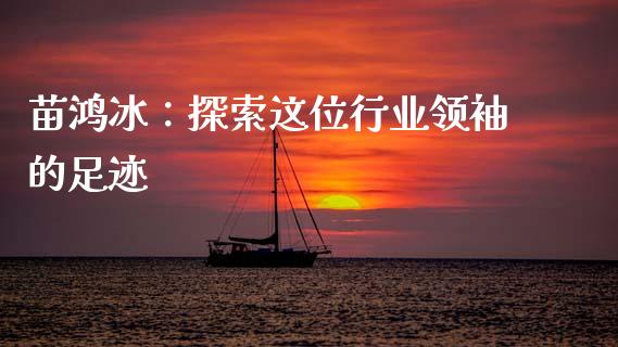 苗鸿冰：探索这位行业领袖的足迹_https://cj001.lansai.wang_财经百问_第1张
