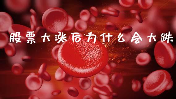 股票大涨后为什么会大跌_https://cj001.lansai.wang_股市问答_第1张
