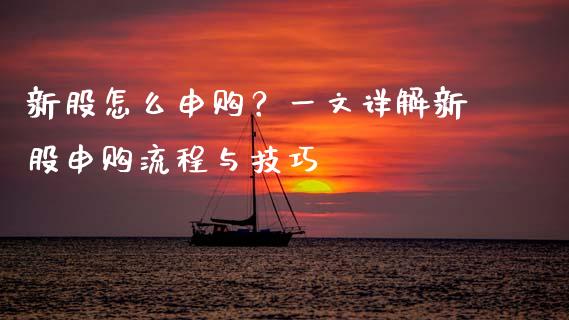 新股怎么申购？一文详解新股申购流程与技巧_https://cj001.lansai.wang_财经百问_第1张