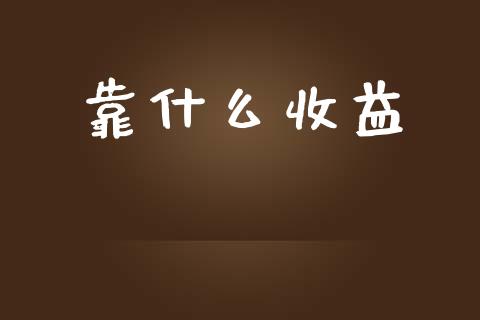 靠什么收益_https://cj001.lansai.wang_财经问答_第1张
