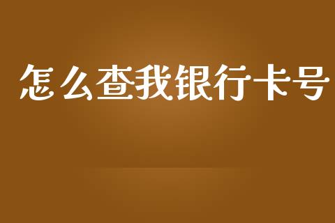 怎么查我银行卡号_https://cj001.lansai.wang_金融问答_第1张