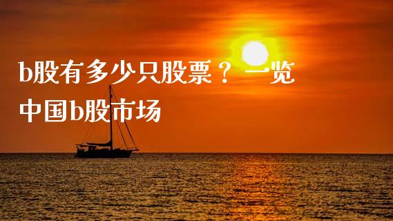 b股有多少只股票？ 一览中国b股市场_https://cj001.lansai.wang_期货问答_第1张