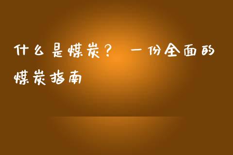 什么是煤炭？ 一份全面的煤炭指南_https://cj001.lansai.wang_金融问答_第1张