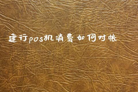 建行pos机消费如何对帐_https://cj001.lansai.wang_财经问答_第1张